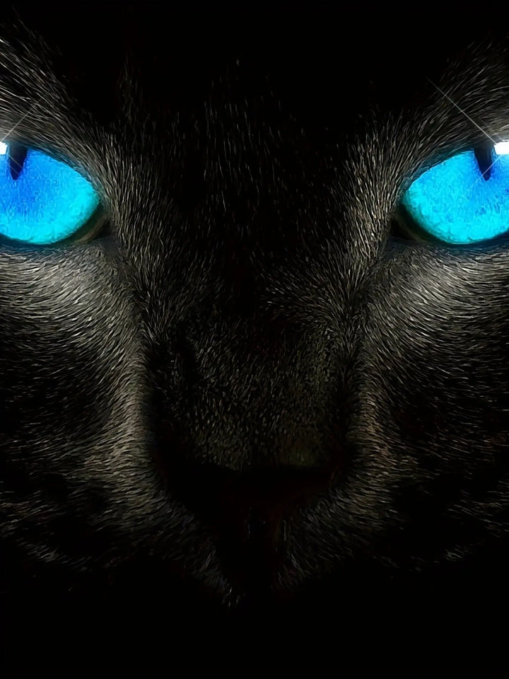 Men's Fashionable Color Blocked Short Sleeved Round Neck T-shirt, Summer Outdoor, 3D Heartbeat And Airplane Graphic Printing Online Shopping